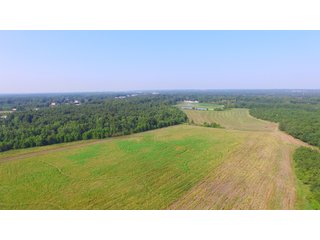 Farmland in Pulaski County, Arkansas - ABSOLUTE ARKANSAS REAL ESTATE AUCTION - 1,200+/- ACRES OFFERED IN 6 TRACTS IN PULASKI COUNTY, ARKANSAS